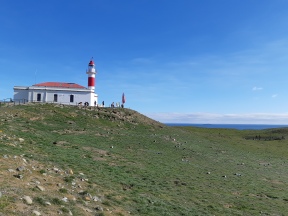 Punta Arenas (124)